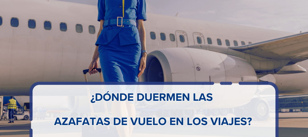 ¿Dónde Duermen las Azafatas de Vuelo en los Viajes El Secreto de los Aviones